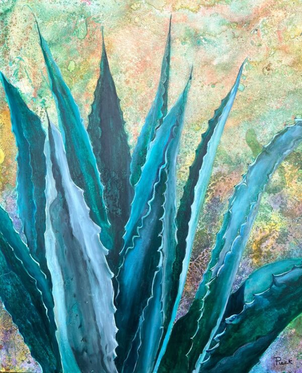 Agave