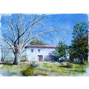 Lote 166